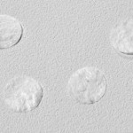 VB10D4_ocular_disc VB10D4_ocular_disc