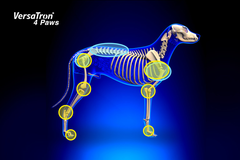 PulseVet_Treatment_Areas-768x512